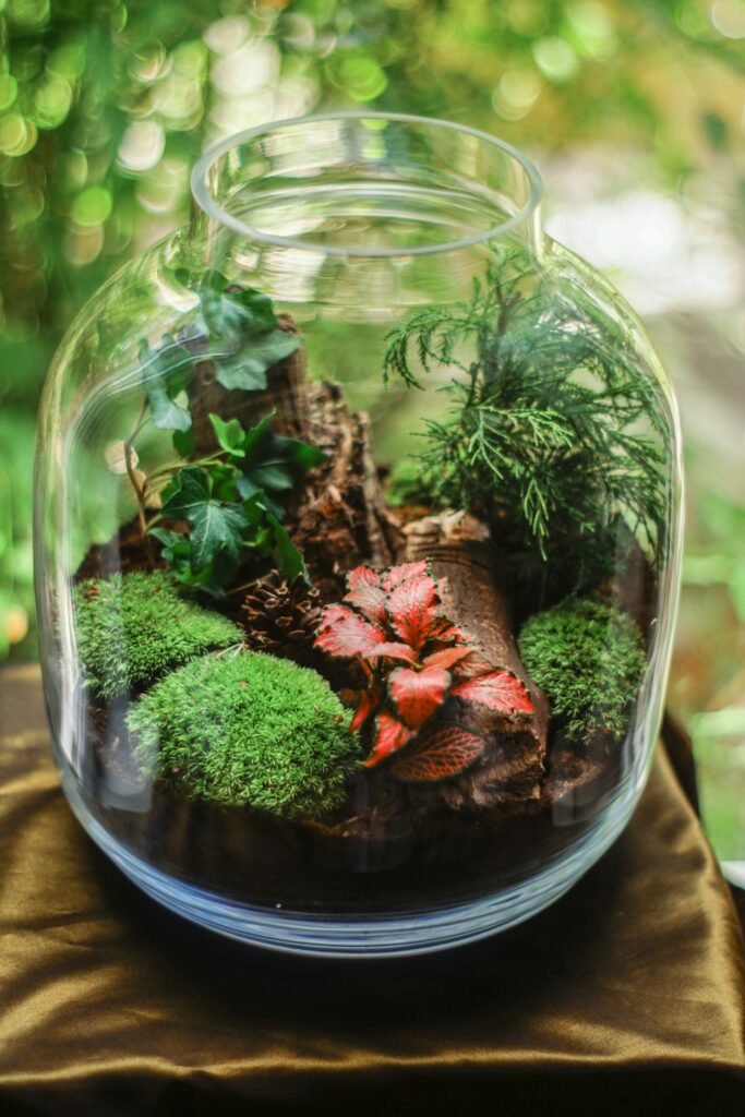 Terrarium